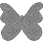 GLACIAL-GREY-BUTTERFLY
